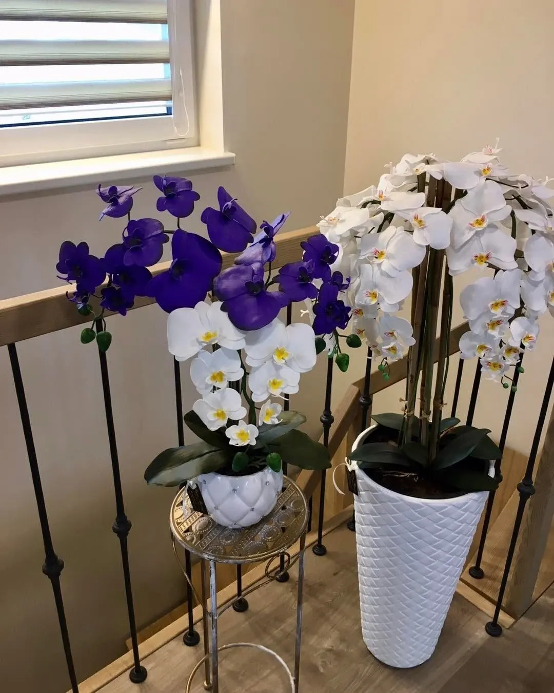 Kaip atgaivinti orchidėją: išsamus gidas, kaip greitai atgaivinti leisgyvę orchidėją ir pasirūpinti jos sveikata