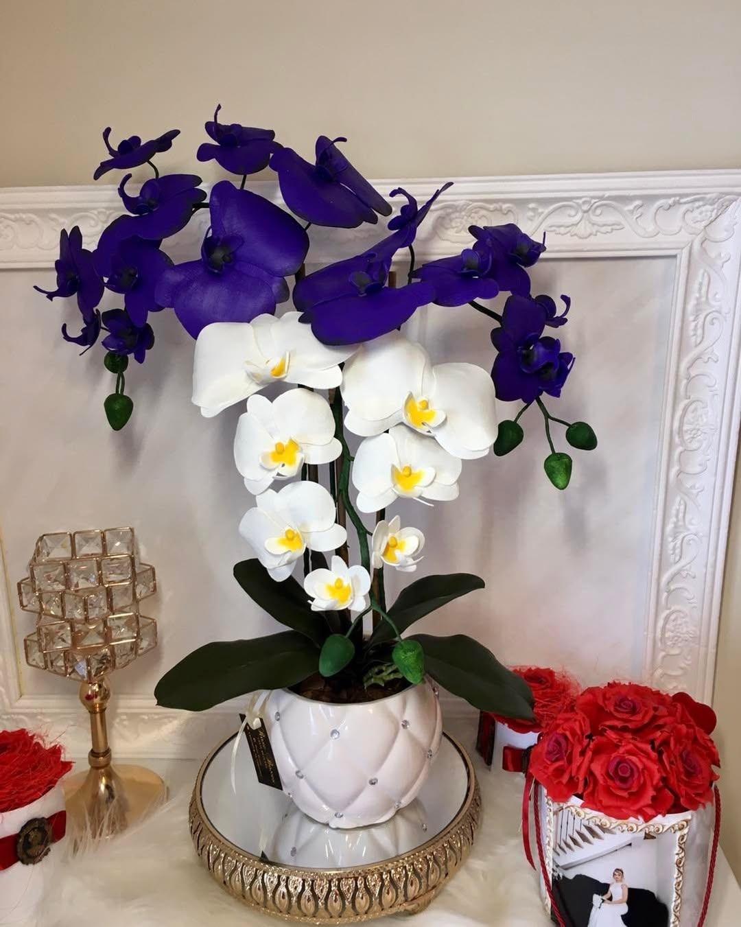 Kaip atgaivinti orchidėją: išsamus gidas, kaip greitai atgaivinti leisgyvę orchidėją ir pasirūpinti jos sveikata