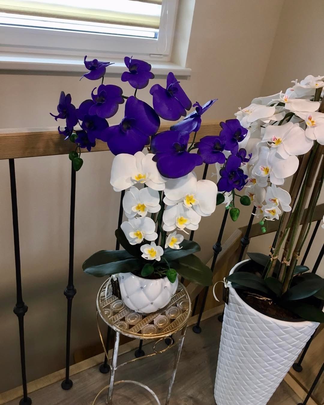 Kaip atgaivinti orchidėją: išsamus gidas, kaip greitai atgaivinti leisgyvę orchidėją ir pasirūpinti jos sveikata