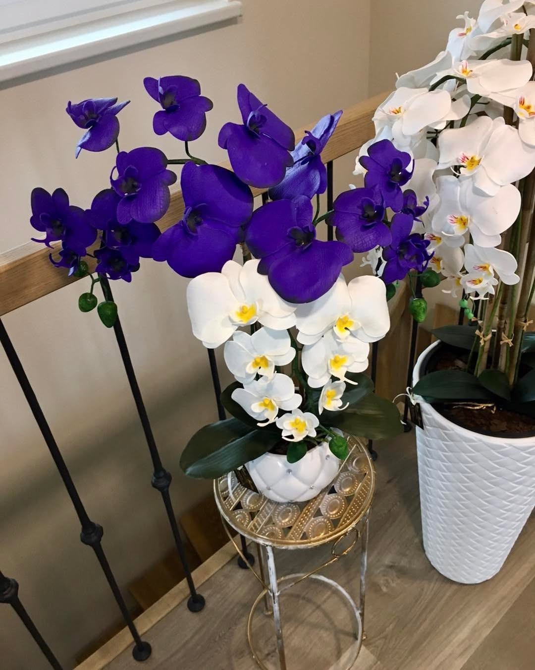 Kaip atgaivinti orchidėją: išsamus gidas, kaip greitai atgaivinti leisgyvę orchidėją ir pasirūpinti jos sveikata