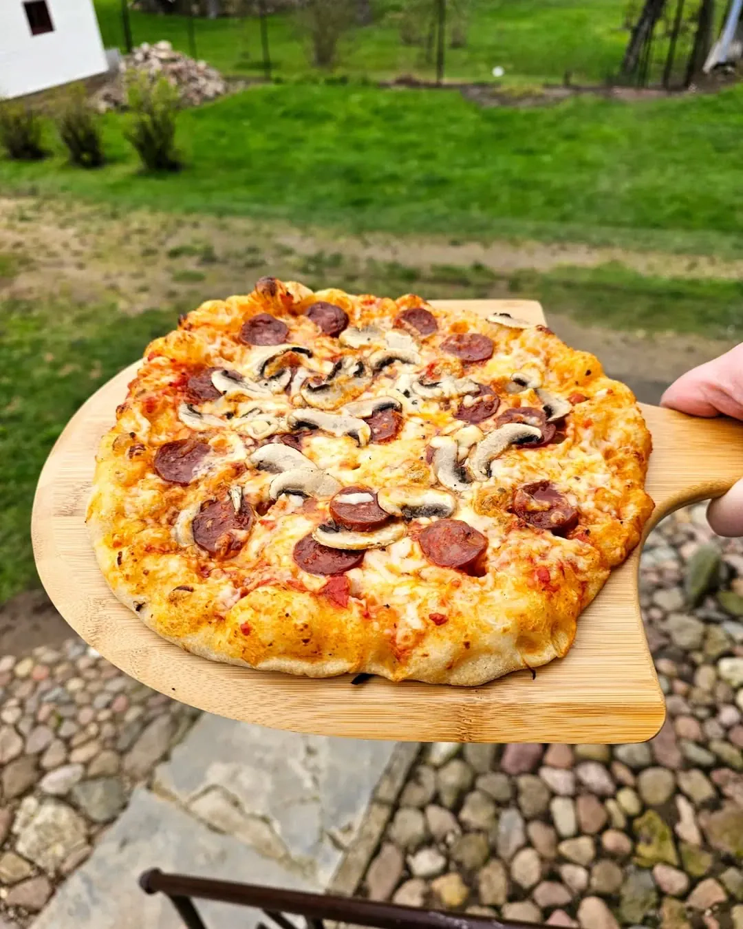 Naminė pica su chorizo dešra, pievagrybiais ir sūriu, kamado tipo grilyje
