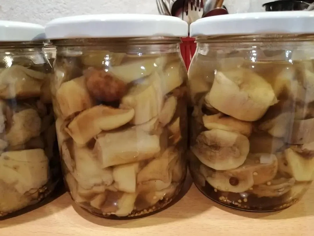 Marinuoti grybai žiemai su acto marinatu