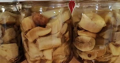 Marinuoti grybai žiemai su acto marinatu