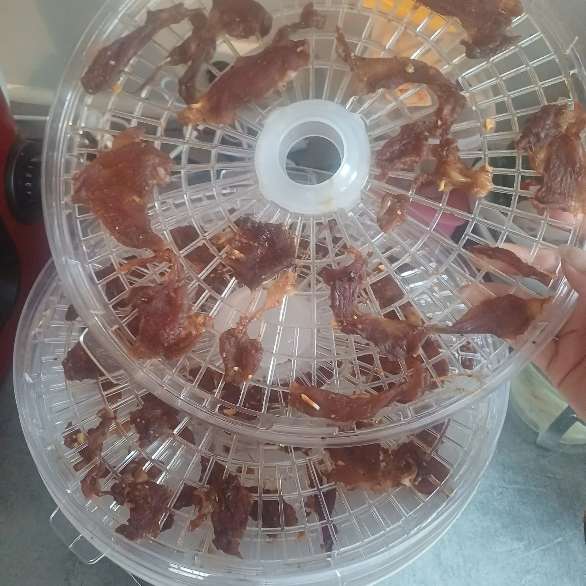 Džiovinta kiaulienos išpjova, filė be riebaliukų, džiovyklėje