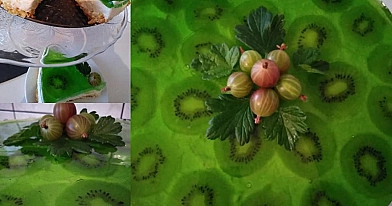 Sernik na zimno z kiwi