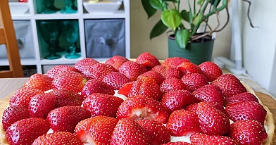 Tarta z budyniem i truskawkami