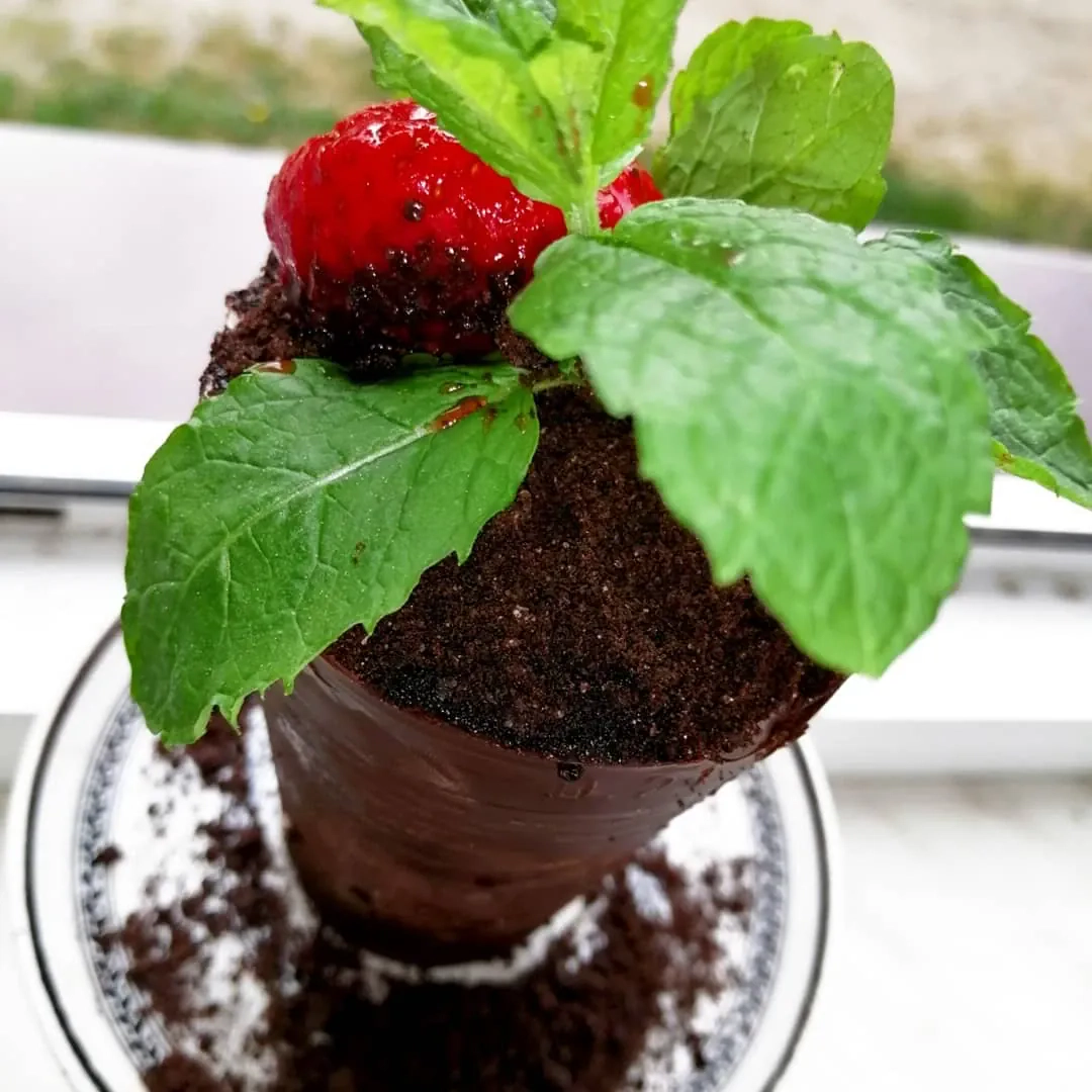 Czekoladowa doniczka z kremem mascarpone, truskawkami i miętą