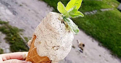 Domowe lody miętowe z mascarpone i kawałkami czekolady