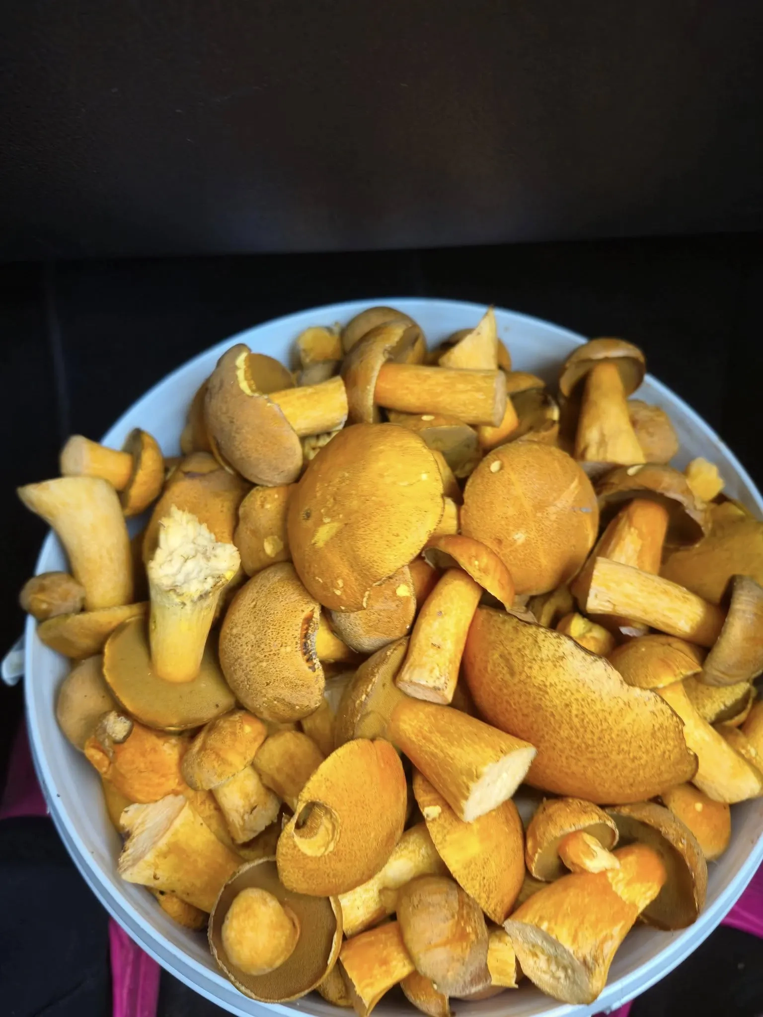 Marinuoti grybai - makavykai (geltonieji kazlėkai) žiemai