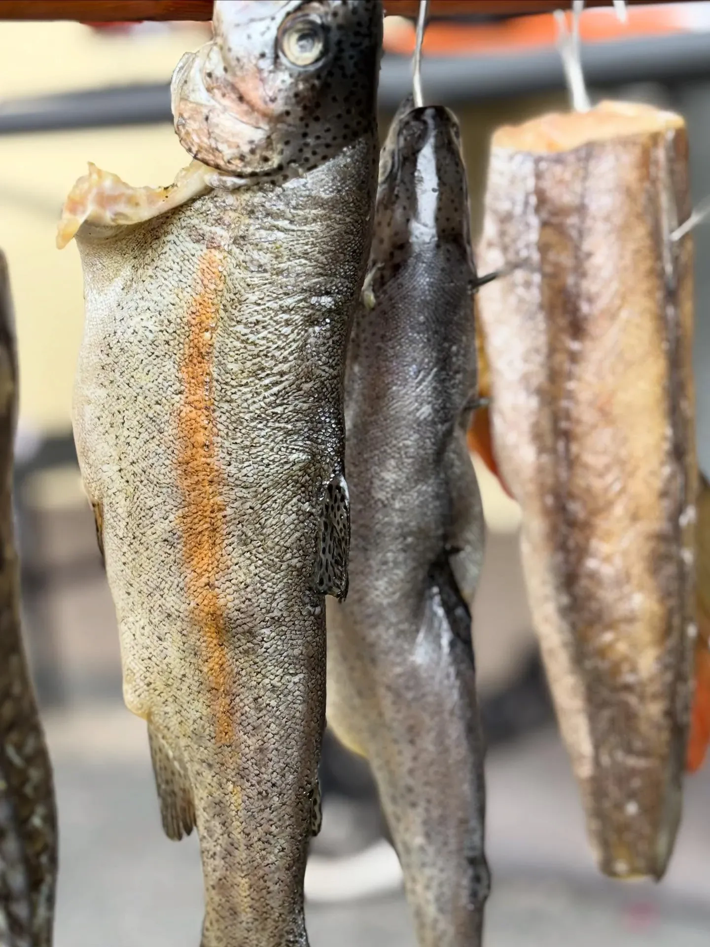 Łosoś wędzony domowym sposobem – przepis na doskonałą rybę z wędzarni