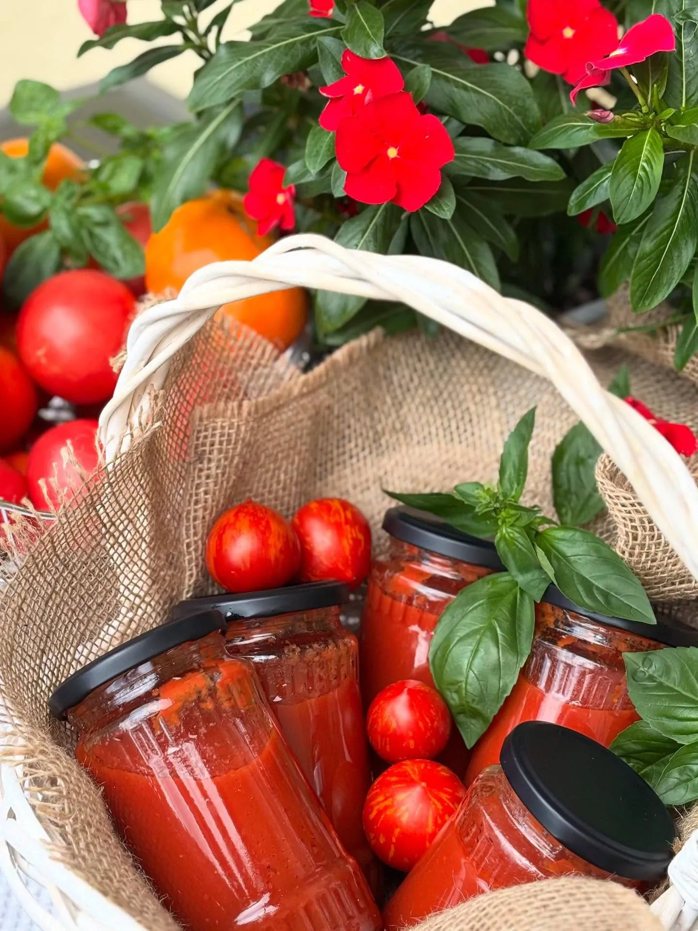 Domowy przecier pomidorowy na zimę – naturalny, bez pasteryzacji i konserwantów 🍅