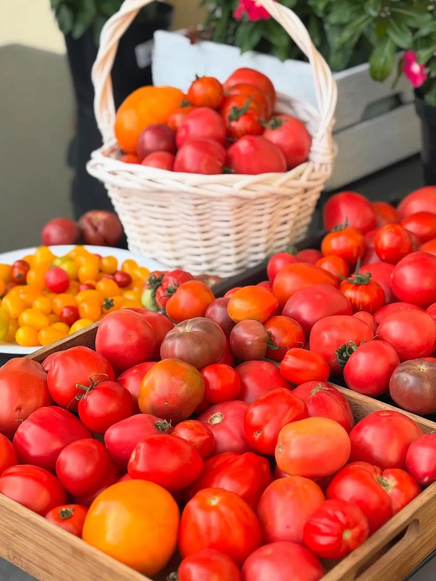 Domowy przecier pomidorowy na zimę – naturalny, bez pasteryzacji i konserwantów 🍅