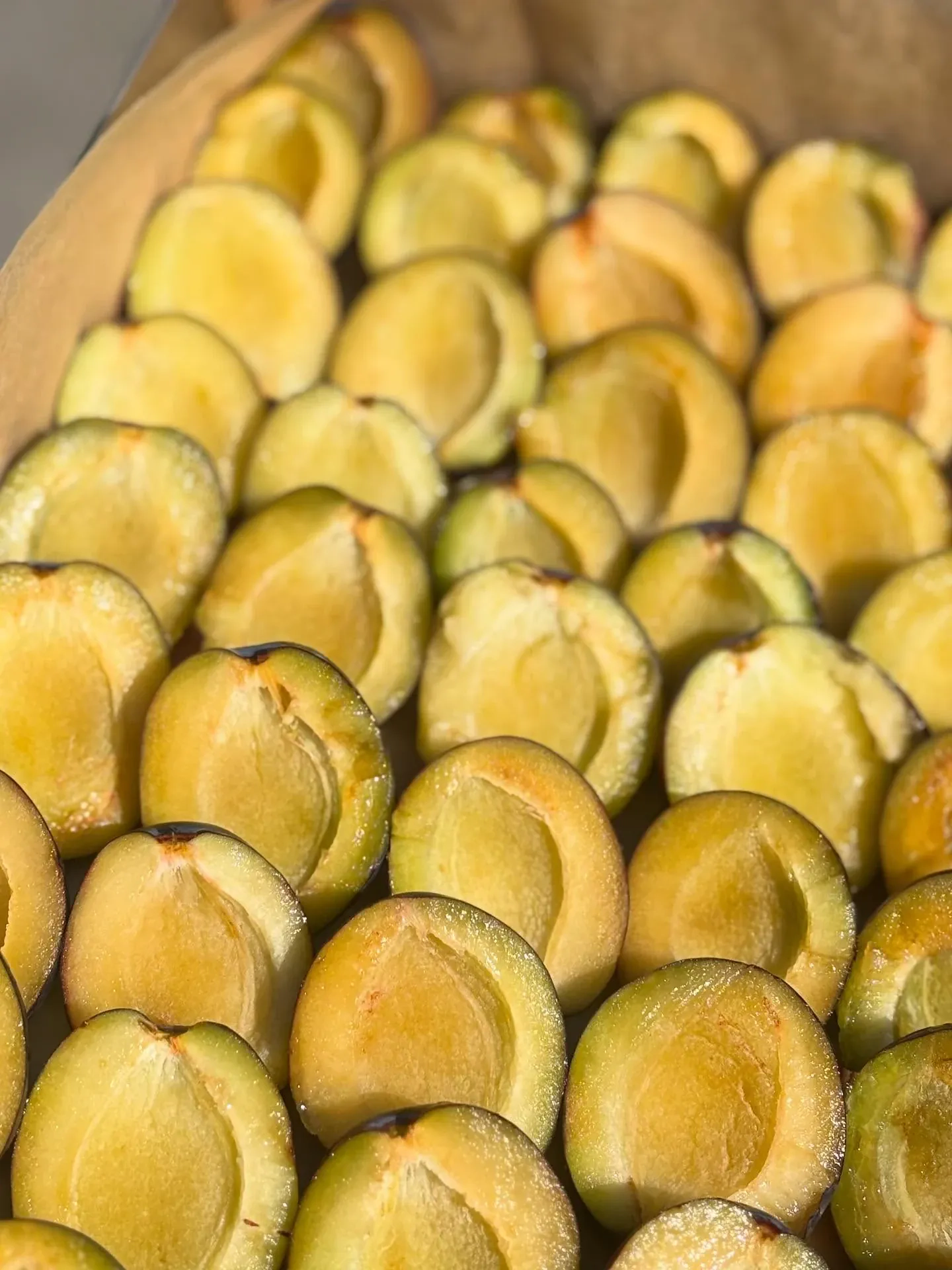 Ciasto kruche ze śliwkami – domowy przepis na puszyste i wilgotne ciasto śliwkowe