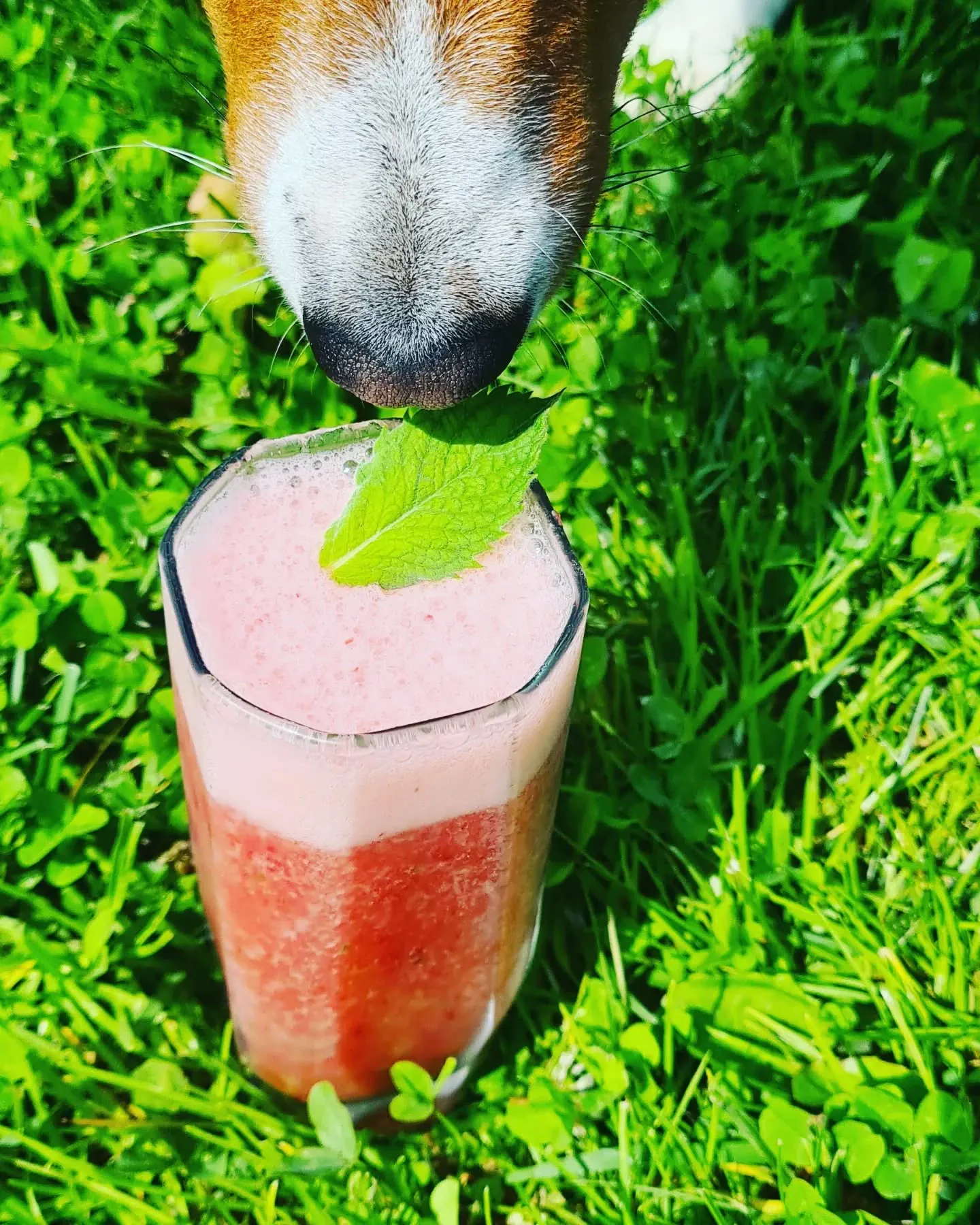 Viegls vasaras saldēto zemeņu dzēriens ar piparmētrām