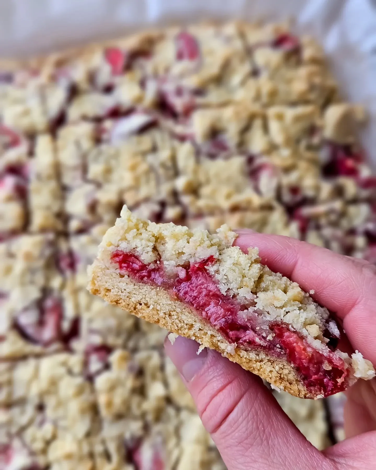 Ciasto kruche z owocami sezonowymi i kruszonką