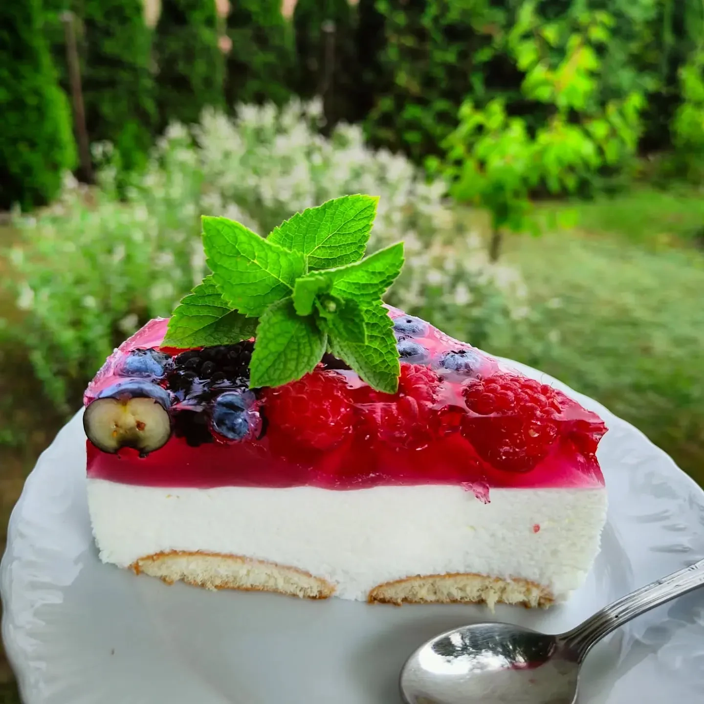 Sernik na zimno z twarogu z galaretką i owocami leśnymi