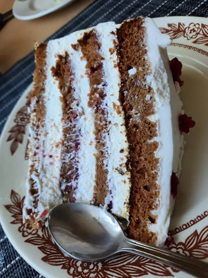 Biskvitinis medaus tortas su spanguolėmis ir plakta grietinėle