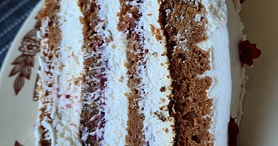 Biskvitinis medaus tortas su spanguolėmis ir plakta grietinėle