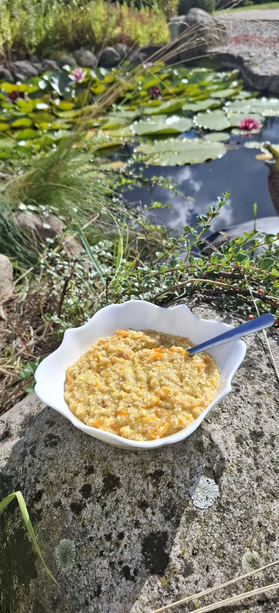 Kreminė miežinių kruopų košė su keptomis morkomis ir šonine