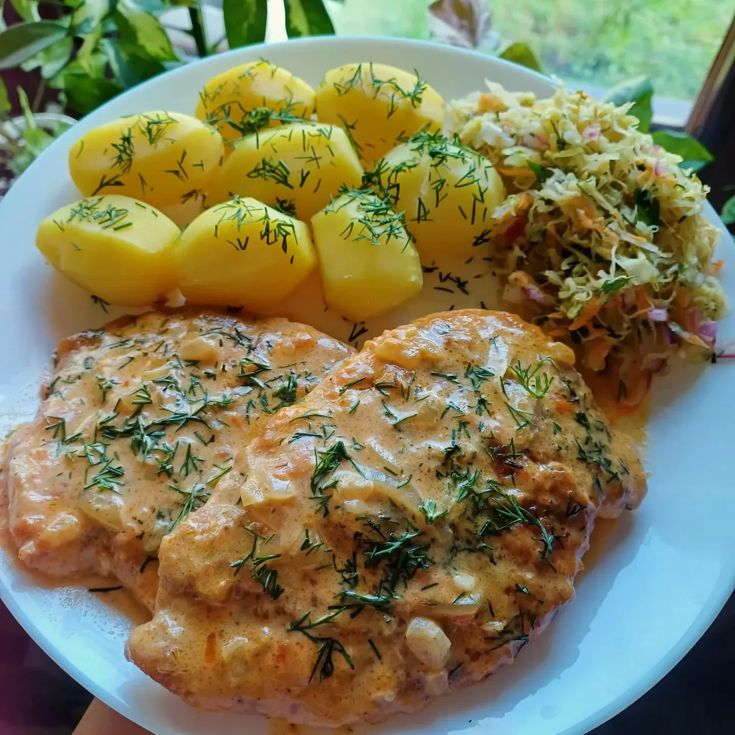 Kurczak w sosie koperkowo-śmietanowym z ziemniakami i surówką z kiszonej kapusty