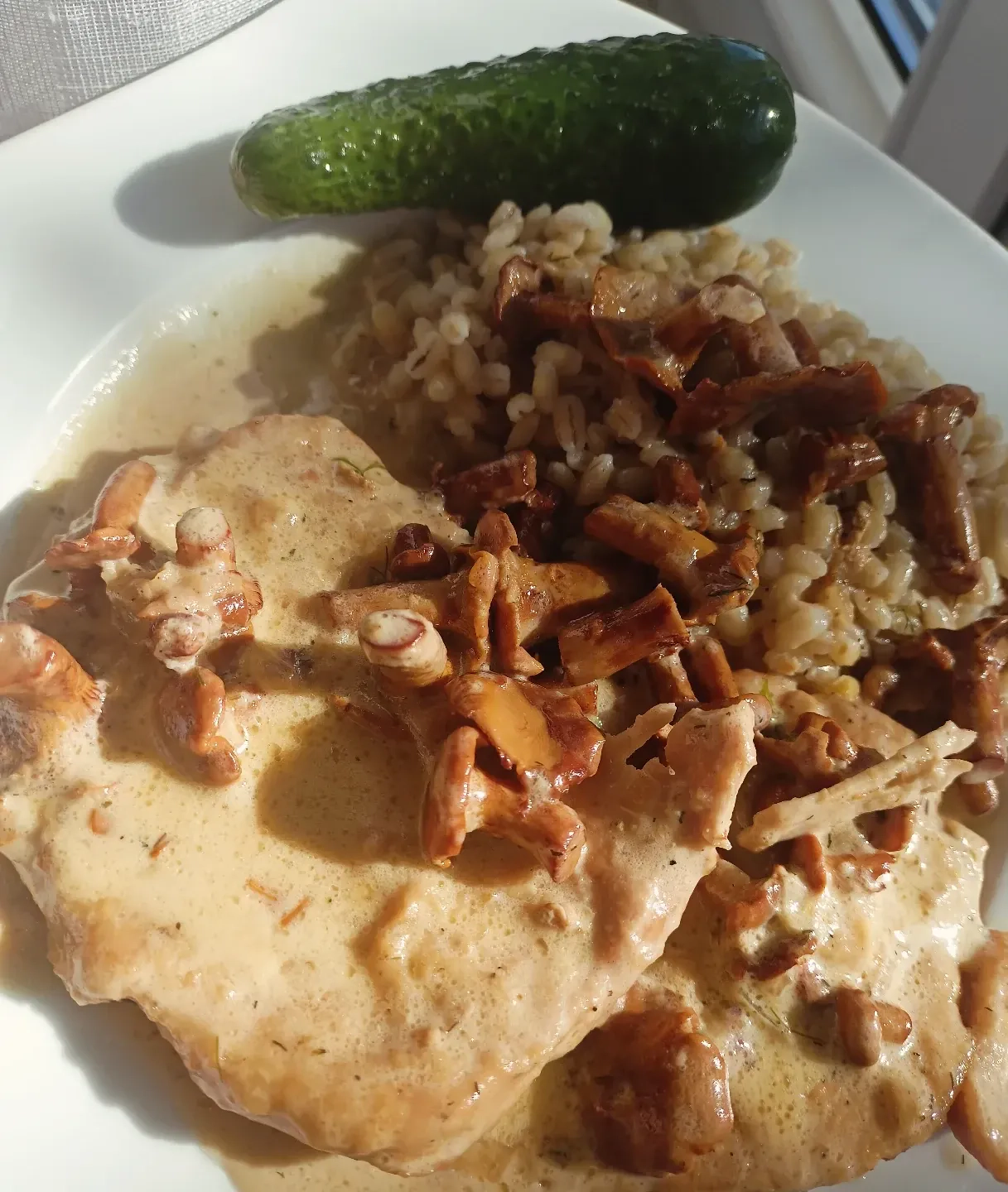 Schab duszony w kremowym sosie kurkowym z kaszą pęczak i ogórkiem małosolnym