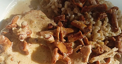 Schab duszony w kremowym sosie kurkowym z kaszą pęczak i ogórkiem małosolnym