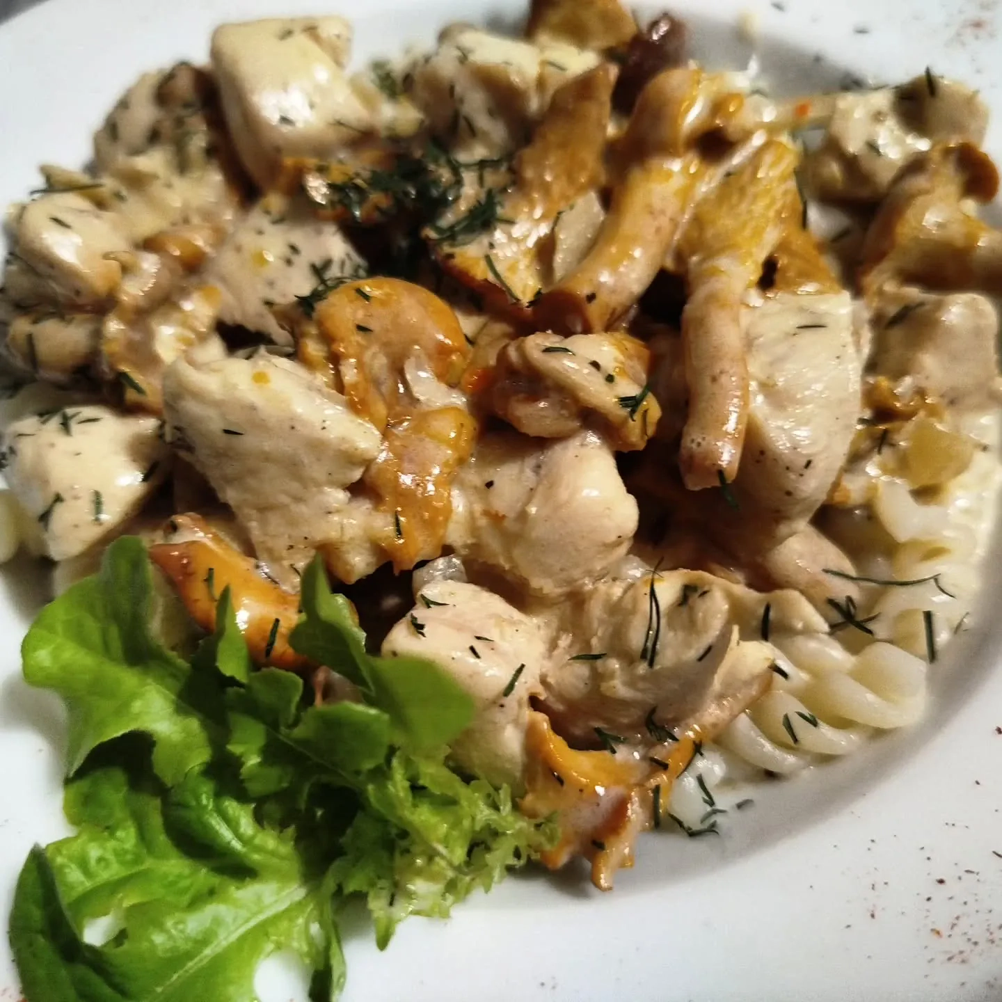 Kurczak w kremowym sosie kurkowym z makaronem