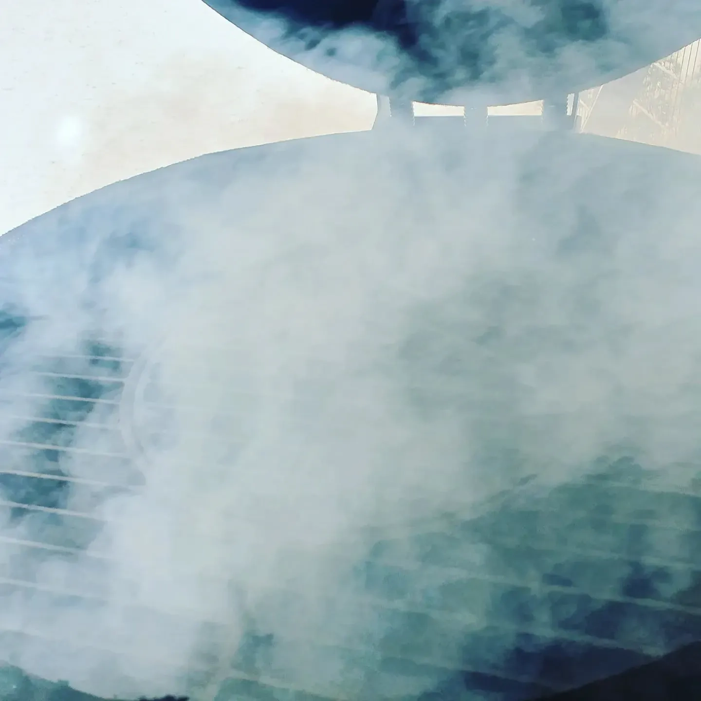 Kepta anties krūtinėlė kamado tipo kepsninėje