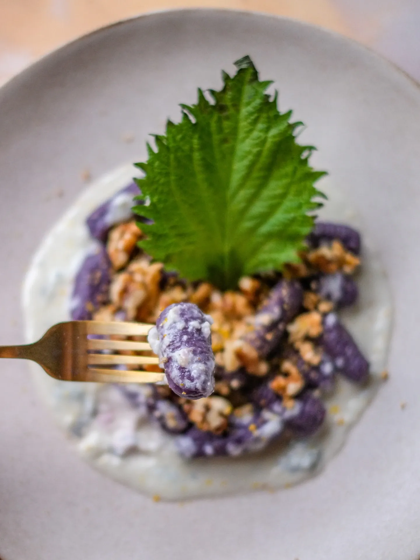 Fioletowe gnocchi z fioletowych ziemniaków z sosem gorgonzola i parmezanem, orzechami włoskimi i cytryną