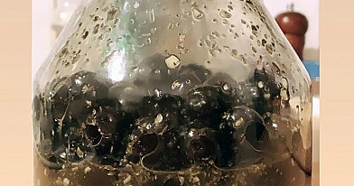 Marinuotos alyvuogės su česnaku, kalendromis, rozmarinu ir čiobreliu