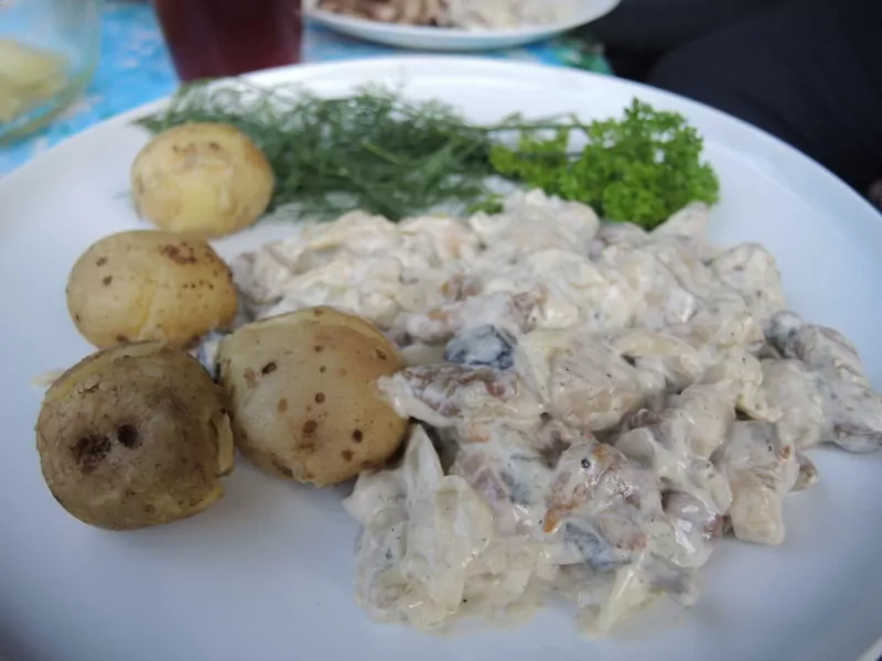Grybai, troškinti grietinėje ar piene