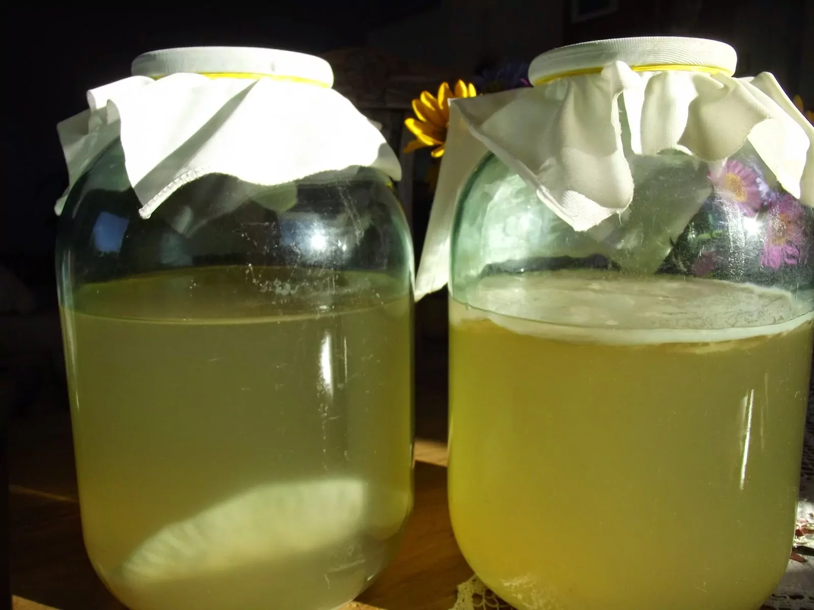 Obuolių actas | Receptas