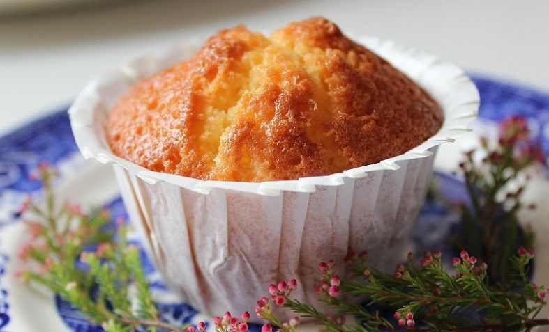 Orangenmuffins mit Kürbis