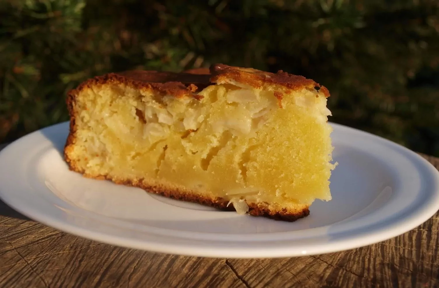 Яблочный пирог со сгущенным молоком быстрого приготовления