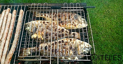 Keptos dorados - žuvys ant žarijų arba grilyje