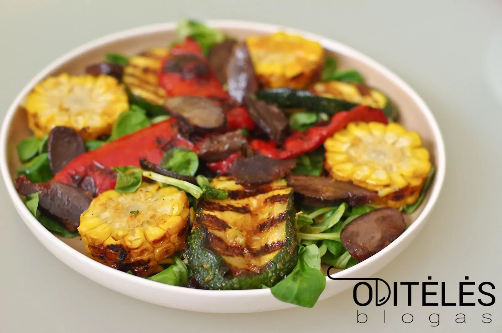 Salotos su keptais antienos arba vištienos skrandukais ir grilintomis daržovėmis