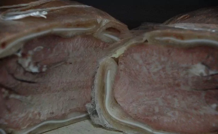 Liežuvio ir ausų vyniotinis