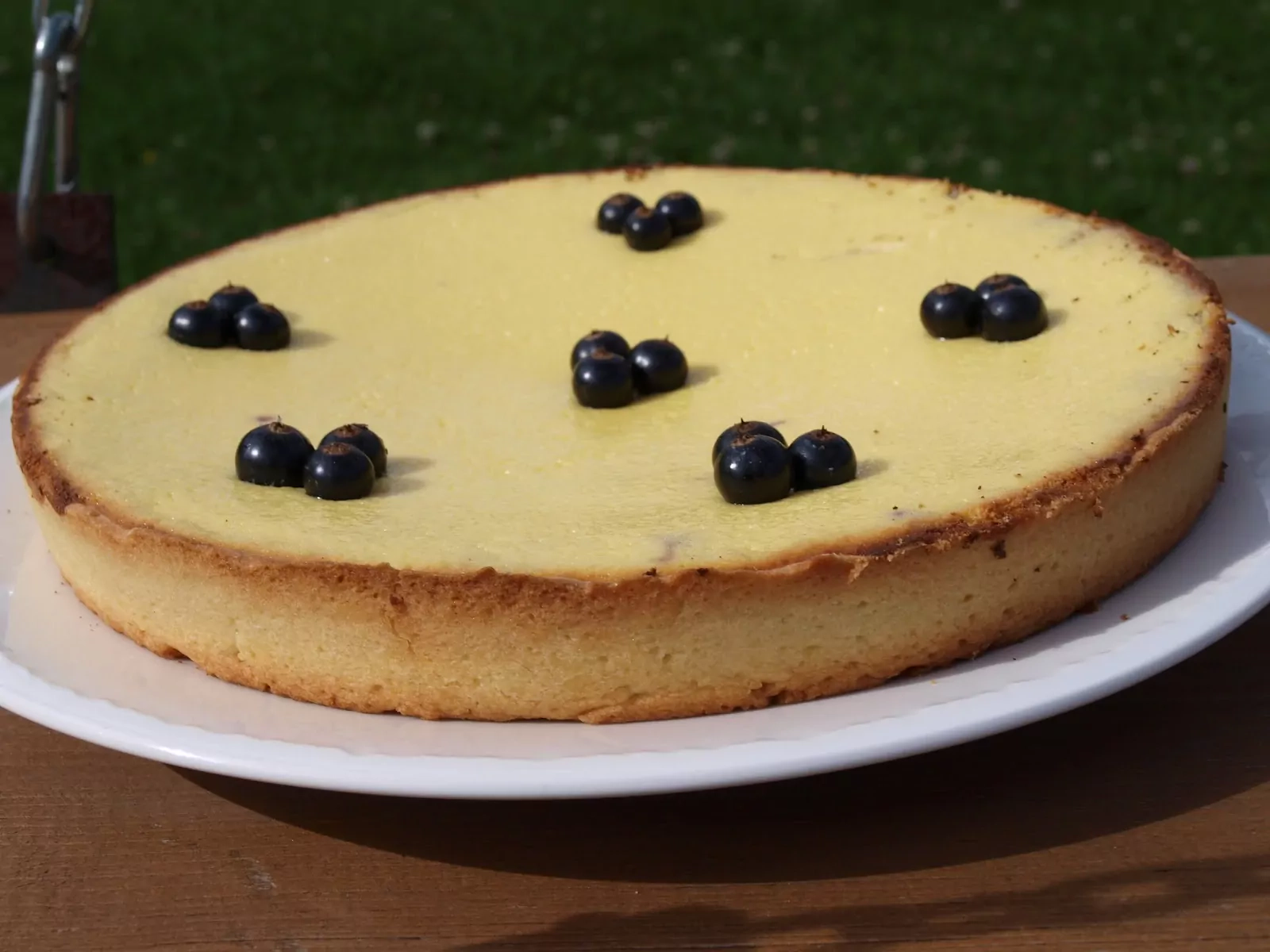 Творожный пирог с черной смородиной