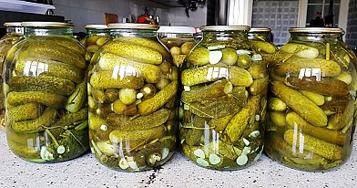 Tėvas mane išmokė sūdyti agurkus žiemai. Šaltas metodas be verdančio vandens ir acto